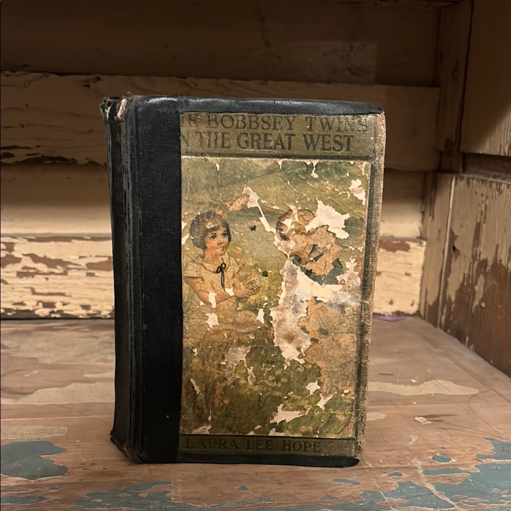 1920s book The Bobbsey Twins in the Great West